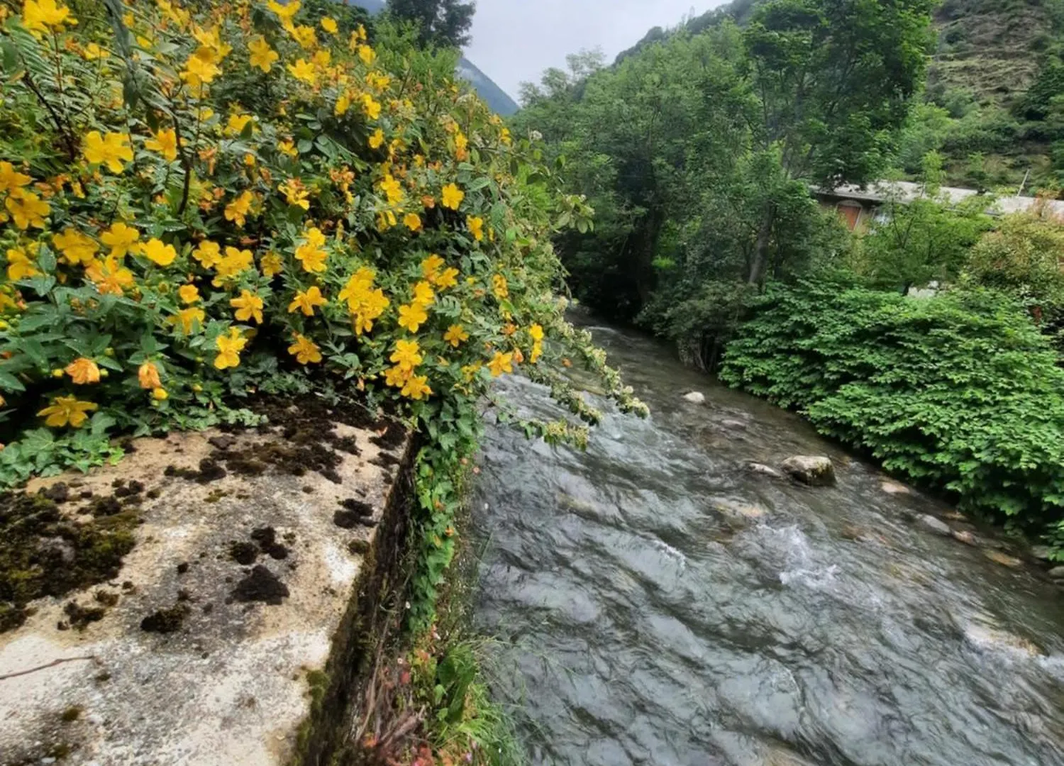 Bagnères-de-LuchonEn Bord De Riviereアパートメント Bagnères-de-Luchon
